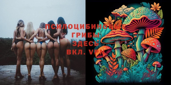 мет Алексеевка
