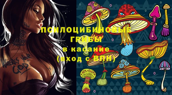Альфа ПВП Алзамай