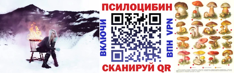 Галлюциногенные грибы прущие грибы  Каргат 